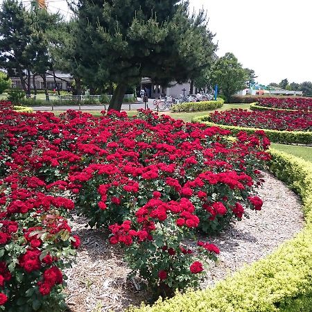 Hotel Crystal Plaza Hitachinaka Dış mekan fotoğraf