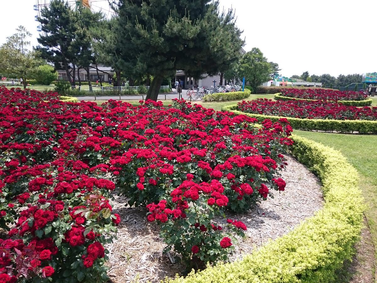 Hotel Crystal Plaza Hitachinaka Dış mekan fotoğraf